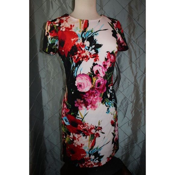 NWT! Sandra Darren Women 6 White Floral Short Sleeve Bodycon Pencil Office Dress - Picture 1 of 15